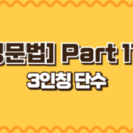 3인칭 단수